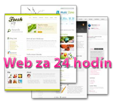 Vaša webstránka do 24 hodín!